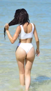 Farrah Abraham: The Unfiltered Business of Being Seen