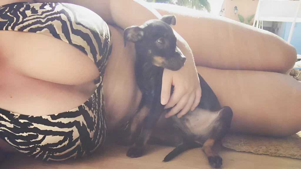 Massive Breasts, Massive Brand: The Lucy Collett Blueprint